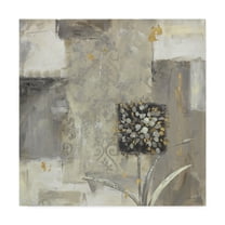 Trademark Fine Art 'Shades of Gray II' Canvas Art by Lisa Audit