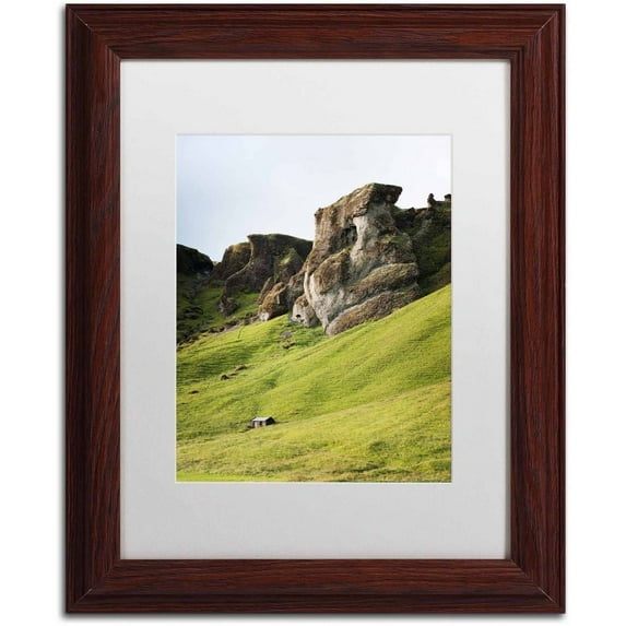 Trademark Fine Art 'Shades of Green' Canvas Art by Philippe Sainte-Laudy, White Matte, Wood Frame