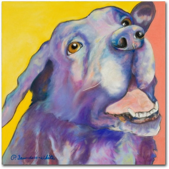 Trademark Fine Art "Shadow" Canvas Art by Pat Saunders-White