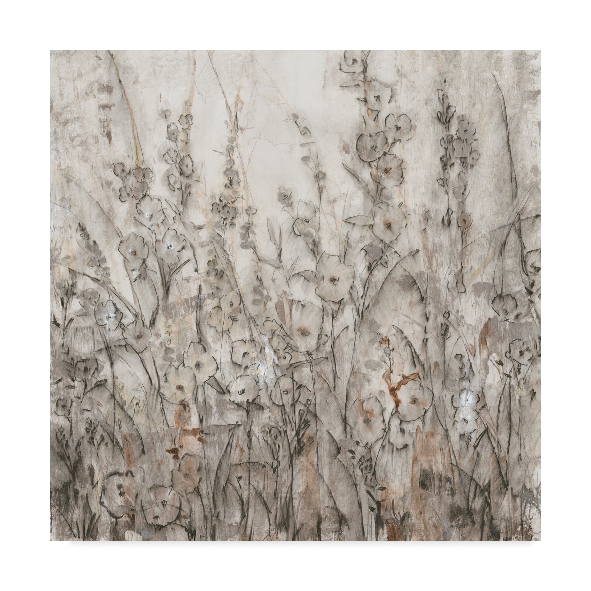 Trademark Fine Art 'Shadows I' Canvas Art by Tim OToole