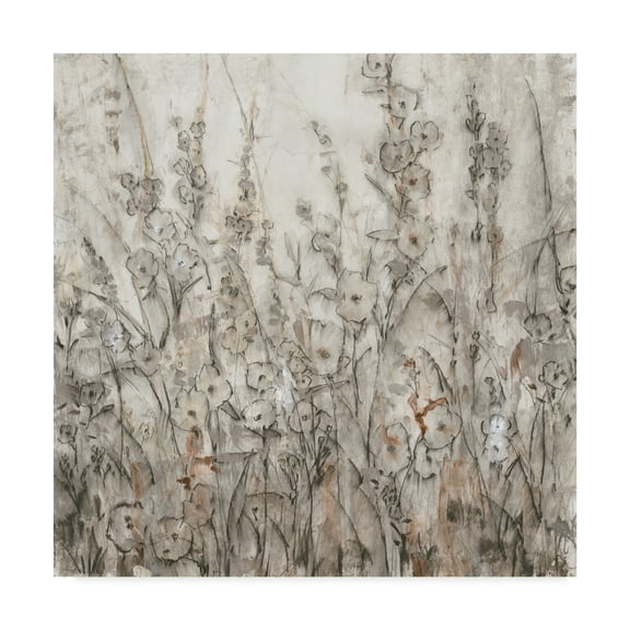 Trademark Fine Art 'Shadows I' Canvas Art by Tim OToole