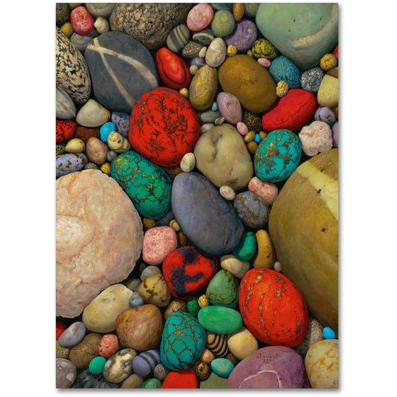 Trademark Fine Art "Shallows of Treasure Creek" Canvas Art by Stephen Stavast