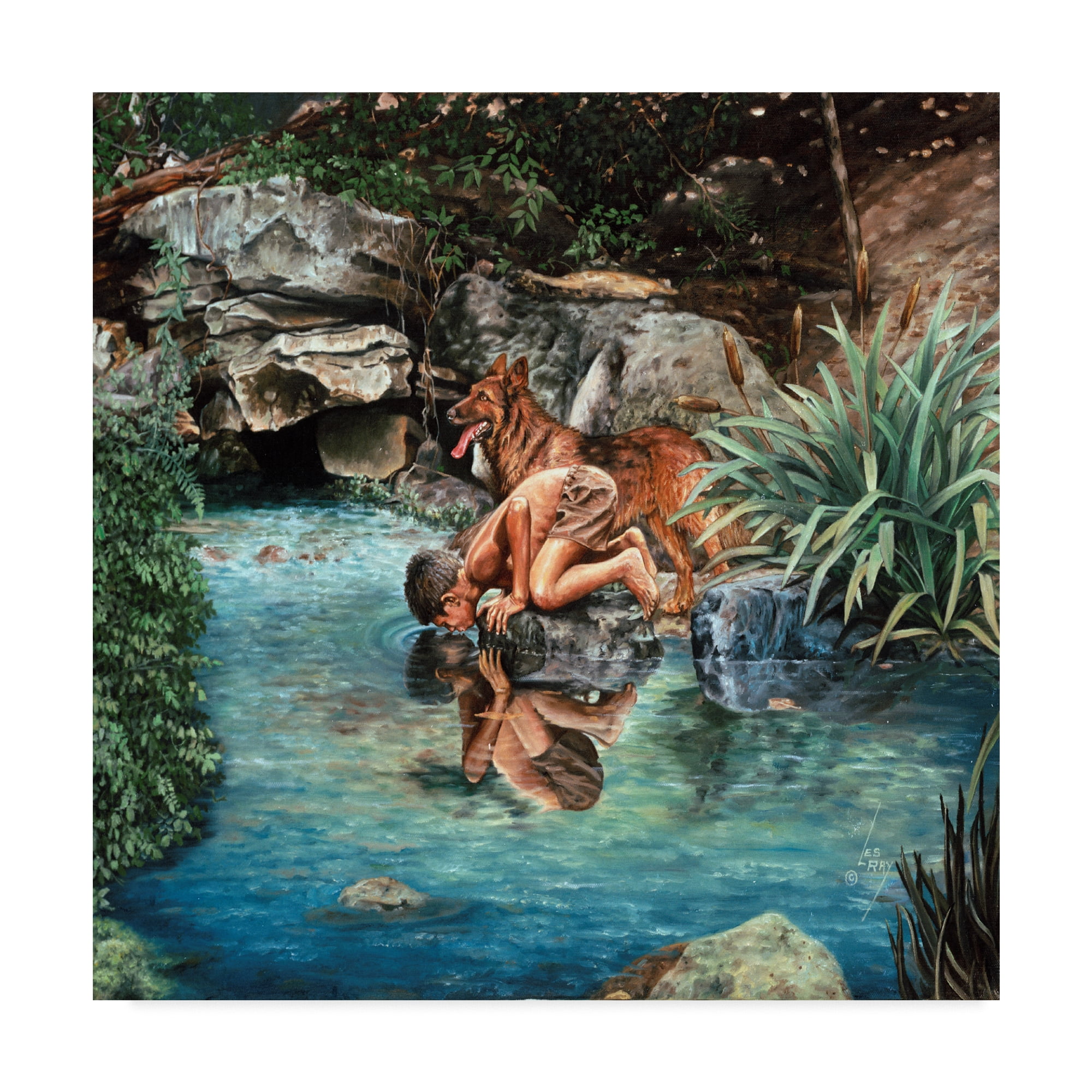 Trademark Fine Art 'Sharing The Water' Canvas Art by Les Ray