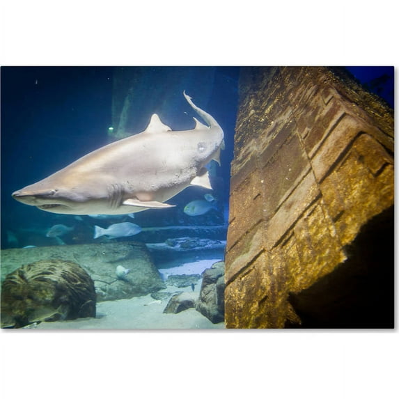 Trademark Fine Art "Shark's Lair" Canvas Art by Yale Gurney