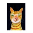thumbnail image 1 of Trademark Fine Art Sharyn Bursic Ginger Cat Canvas Wall Art, 1 of 4
