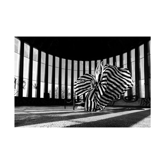 Trademark Fine Art Shay Lev Ari Untitled Canvas Wall Art