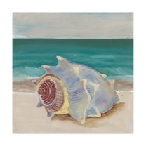 Trademark Fine Art 'She Sells Seashells Frame I' Canvas Art by Alicia Ludwig