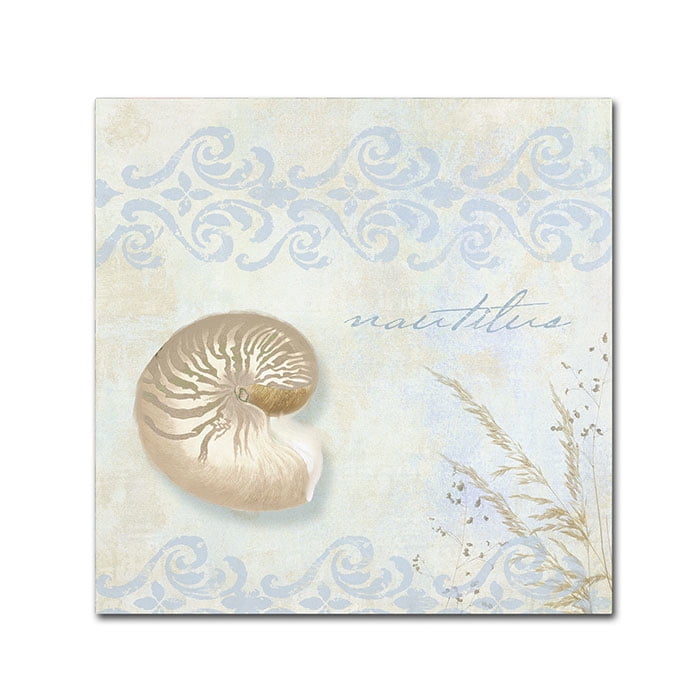 Trademark Fine Art "She Sells Seashells I" Canvas Art by Color Bakery