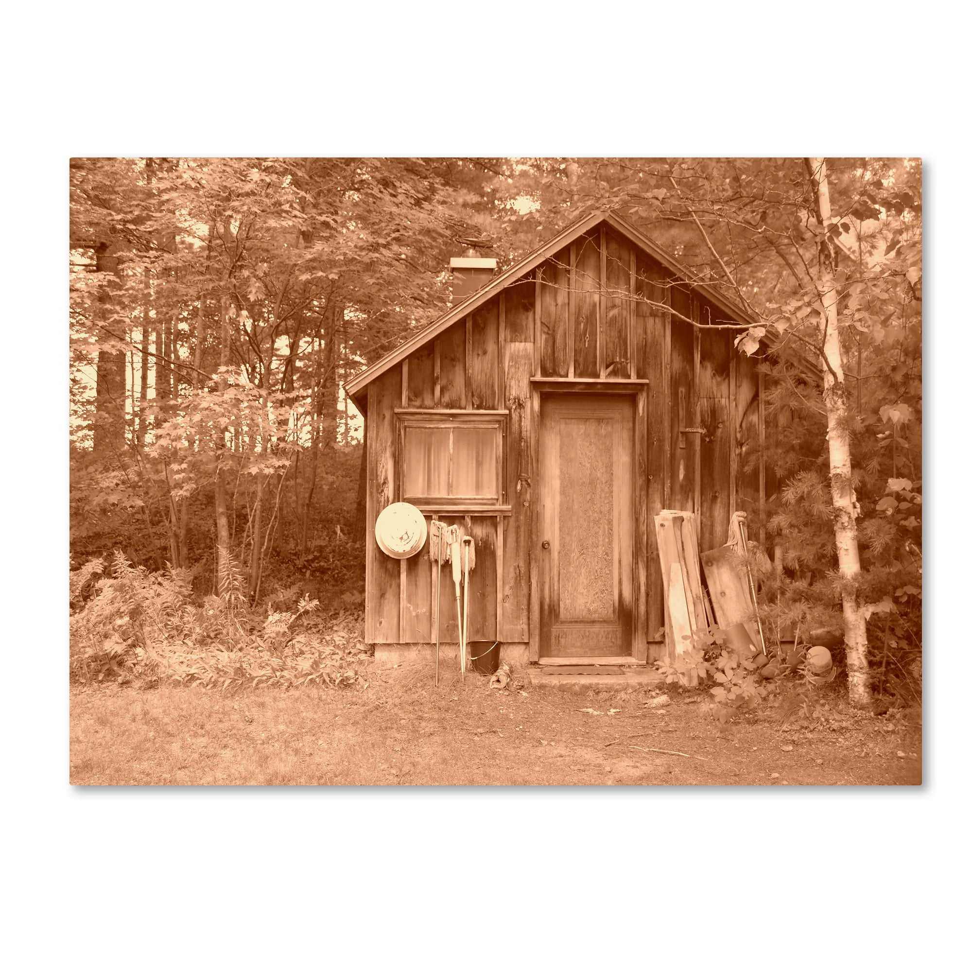 Trademark Fine Art 'Shed sepia' Canvas Art by Tom Kelly