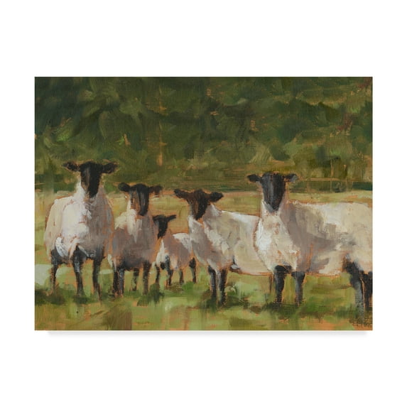 Trademark Fine Art 'Sheep Family II' Canvas Art by Ethan Harper