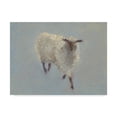 thumbnail image 1 of Trademark Fine Art 'Sheep Strut II' Canvas Art by Marilyn Wendling, 1 of 4