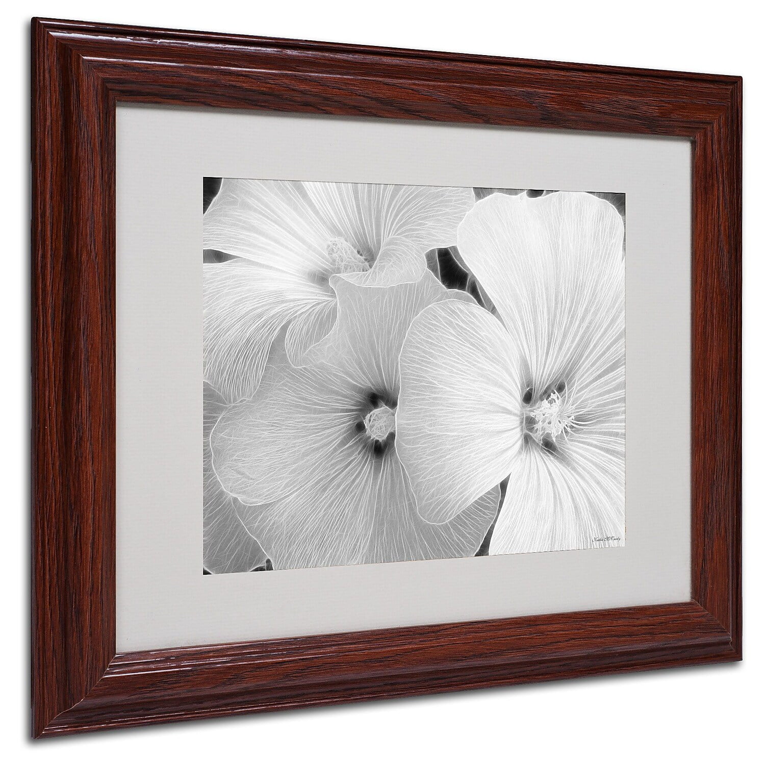 Trademark Fine Art "Sheer Malva" Canvas Art by Kathie McCurdy, Wood Frame