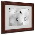 thumbnail image 1 of Trademark Fine Art "Sheer Malva" Canvas Art by Kathie McCurdy, Wood Frame, 1 of 3