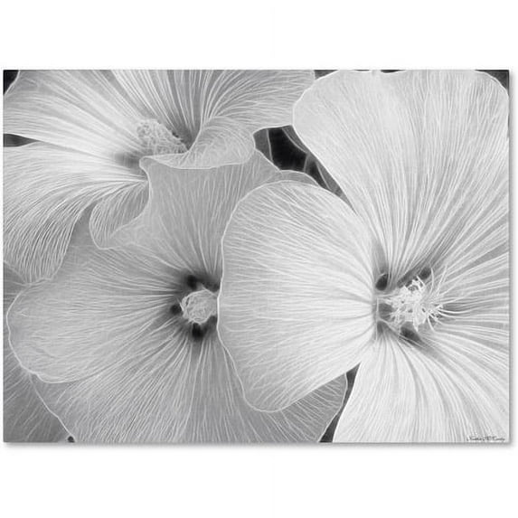 Trademark Fine Art "Sheer Malva" Canvas Art by Kathie McCurdy