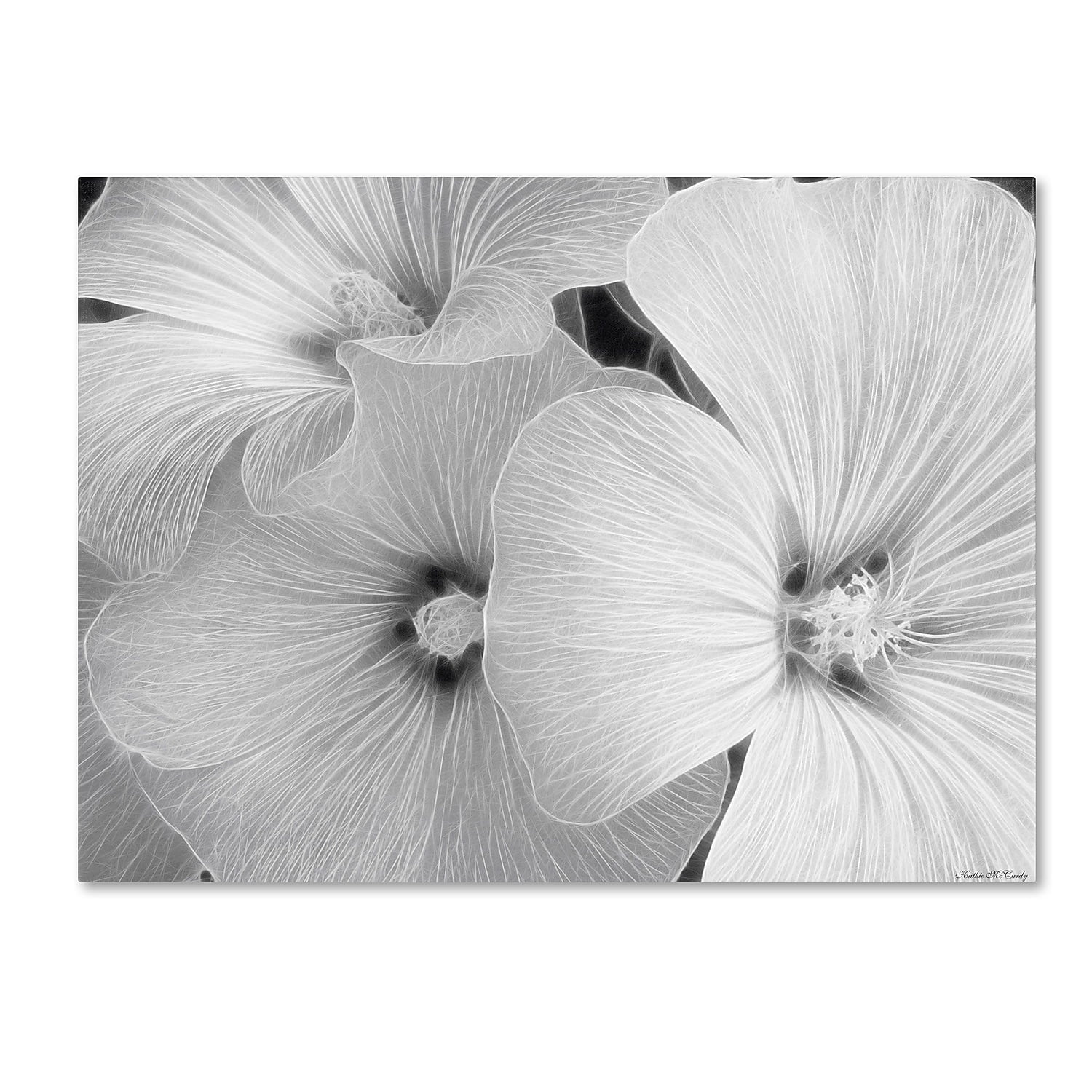 Trademark Fine Art "Sheer Malva" Canvas Art by Kathie McCurdy