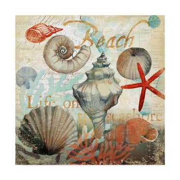 Trademark Fine Art 'Shell Collector Beach' Canvas Art by Art Licensing Studio