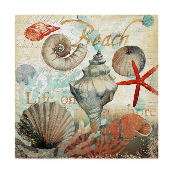 Trademark Fine Art 'Shell Collector Beach' Canvas Art by Art Licensing Studio