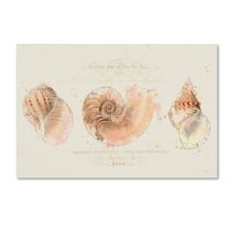 Trademark Fine Art 'Shell Collector I' Canvas Art by Katie Pertiet