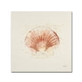 thumbnail image 1 of Trademark Fine Art 'Shell Collector IV' Canvas Art by Katie Pertiet, 1 of 3