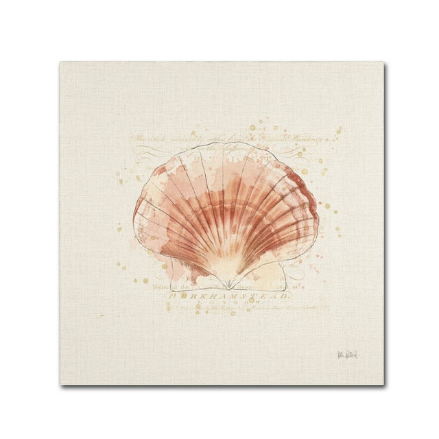Trademark Fine Art 'Shell Collector IV' Canvas Art by Katie Pertiet