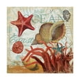 thumbnail image 1 of Trademark Fine Art 'Shell Collector Ocean' Canvas Art by Art Licensing Studio, 1 of 3