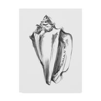 Trademark Fine Art 'Shell Sketch I' Canvas Art by Ethan Harper