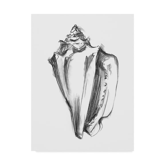 Trademark Fine Art 'Shell Sketch I' Canvas Art by Ethan Harper