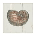 thumbnail image 1 of Trademark Fine Art 'Shell Sketches III Shiplap' Canvas Art by Wild Apple Portfolio, 1 of 3