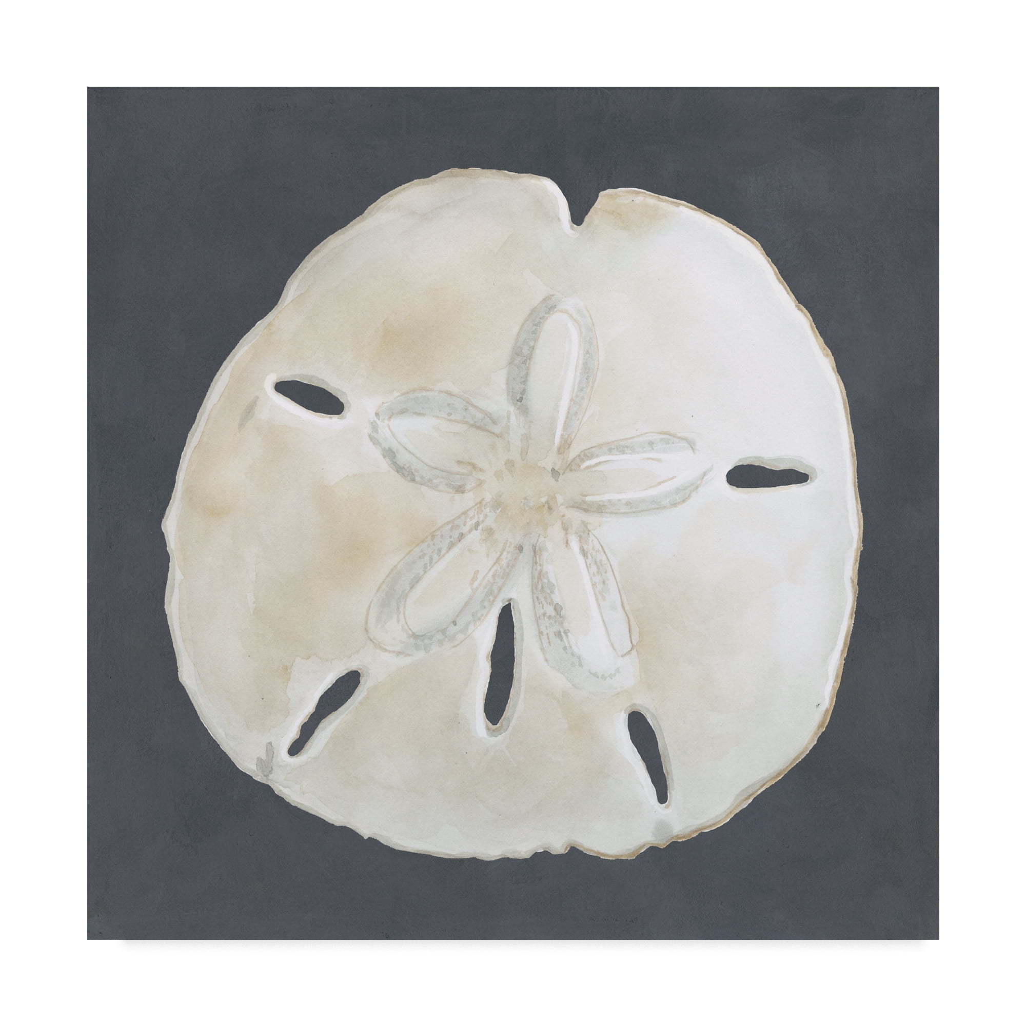Trademark Fine Art 'Shell on Slate II' Canvas Art by Megan Meagher