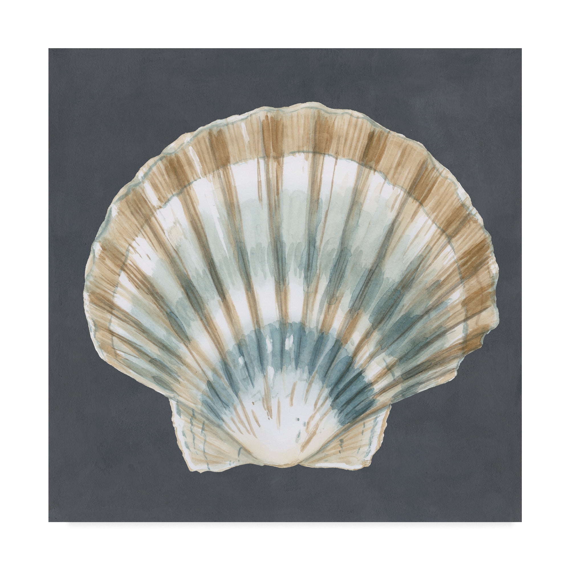 Trademark Fine Art 'Shell on Slate III' Canvas Art by Megan Meagher