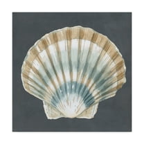 Trademark Fine Art 'Shell on Slate III' Canvas Art by Megan Meagher