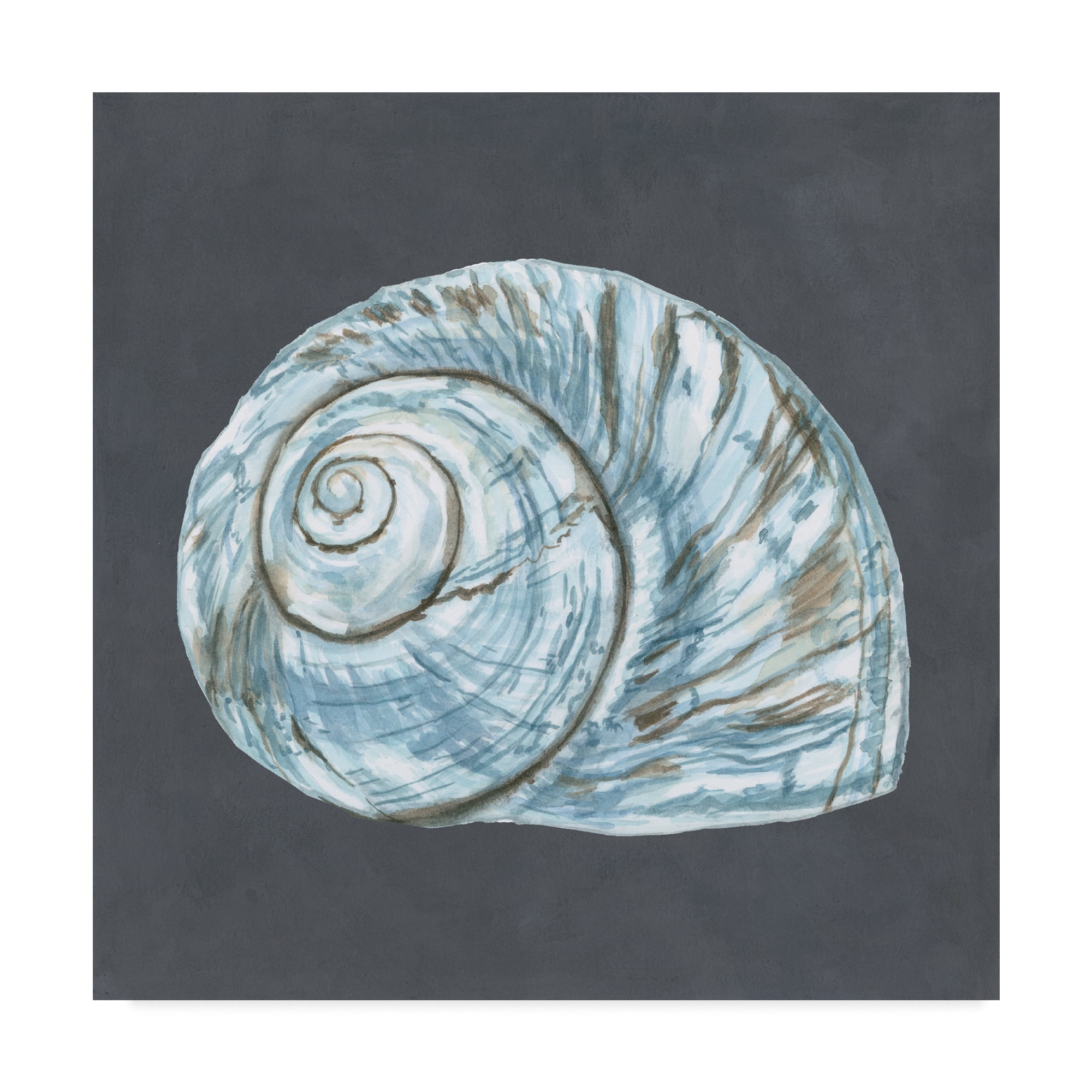 Trademark Fine Art 'Shell on Slate VIII' Canvas Art by Megan Meagher