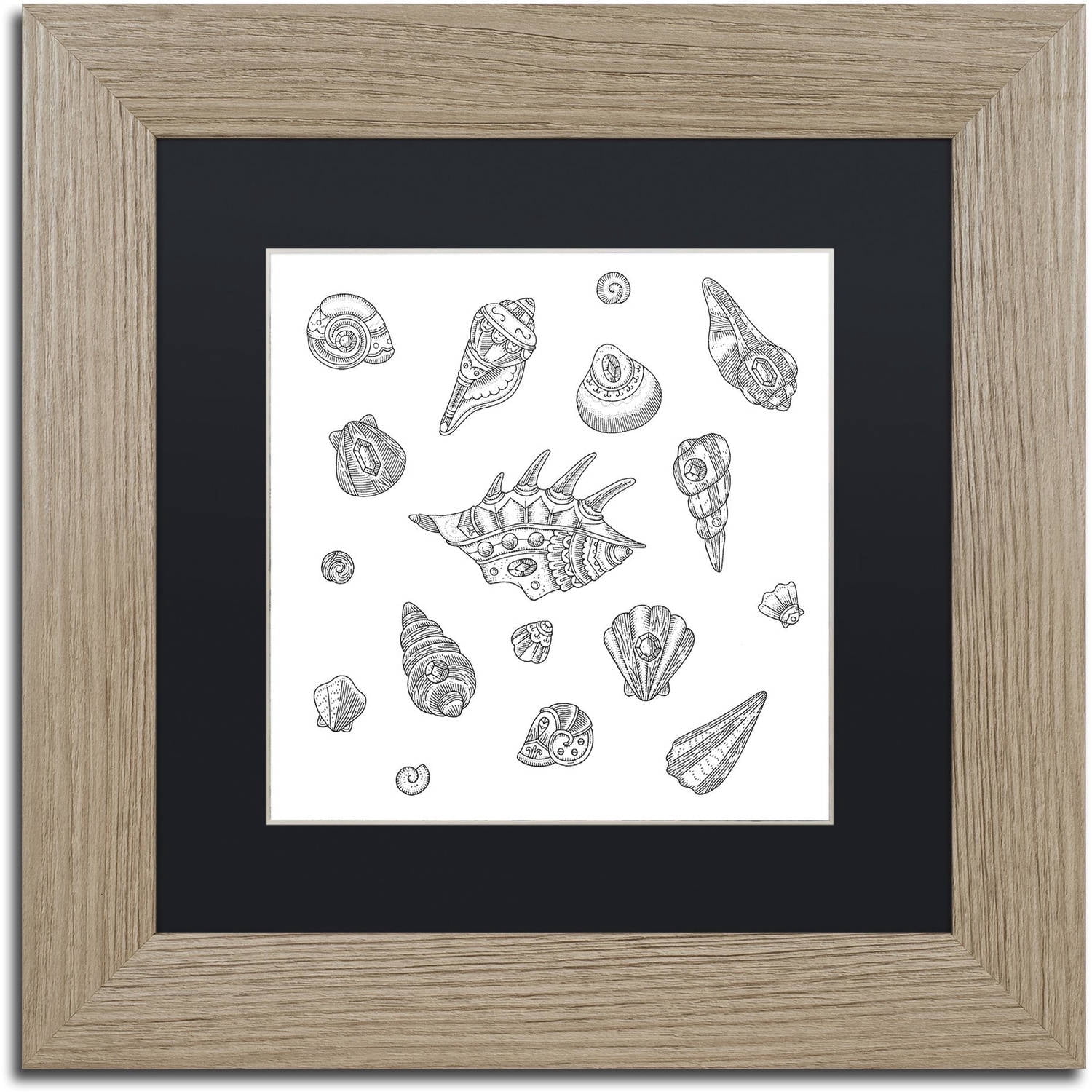 Trademark Fine Art "Shells" Canvas Art by Filippo Cardu, Black Matte, Birch Frame