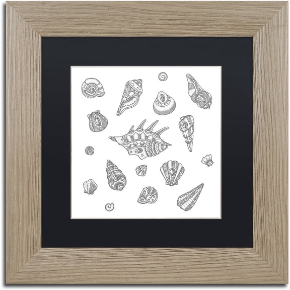 Trademark Fine Art "Shells" Canvas Art by Filippo Cardu, Black Matte, Birch Frame