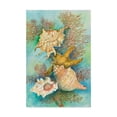 thumbnail image 1 of Trademark Fine Art 'Shells In The Deep Green Sea' Canvas Art by Joanne Porter, 1 of 3