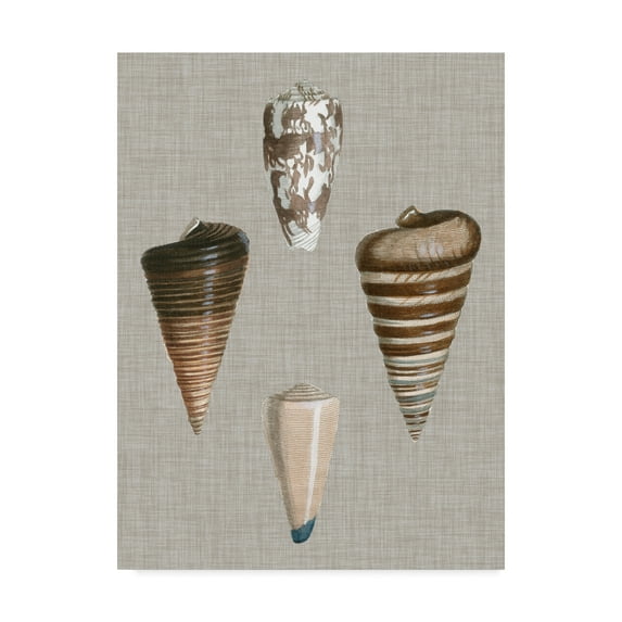 Trademark Fine Art 'Shells on Linen III' Canvas Art by Vision Studio
