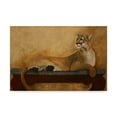 thumbnail image 1 of Trademark Fine Art 'Shes A Cougar' Canvas Art by Jan Panico, 1 of 3