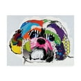 thumbnail image 1 of Trademark Fine Art 'Shih Tzu Abstract' Canvas Art by Michel Keck, 1 of 3