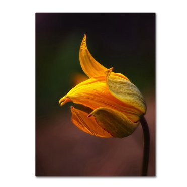 Trademark Fine Art 'Precious' Canvas Art by Kirk Reinert - Walmart.com