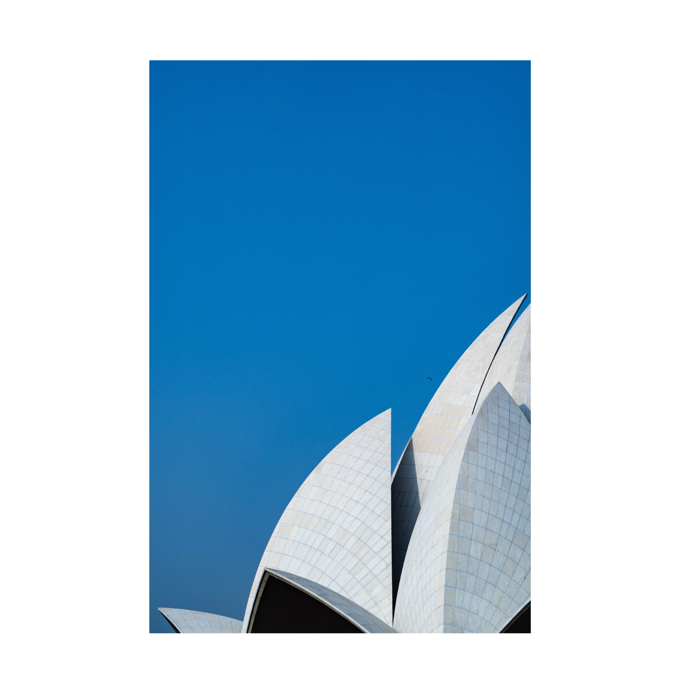 Trademark Fine Art Shobhit Chawla Lotus temple the balance Canvas Wall Art