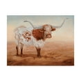 thumbnail image 1 of Trademark Fine Art 'Shoo Fly' Canvas Art by Kathy Winkler, 1 of 4