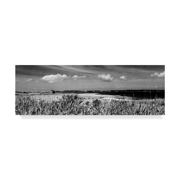Trademark Fine Art 'Shore Panorama III' Canvas Art by Jeff Pica