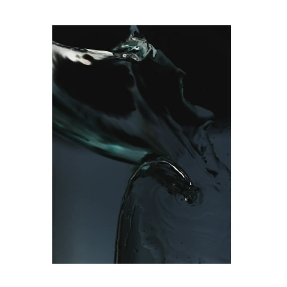 Trademark Fine Art Shot by Clint Aqua No1 Canvas Wall Art