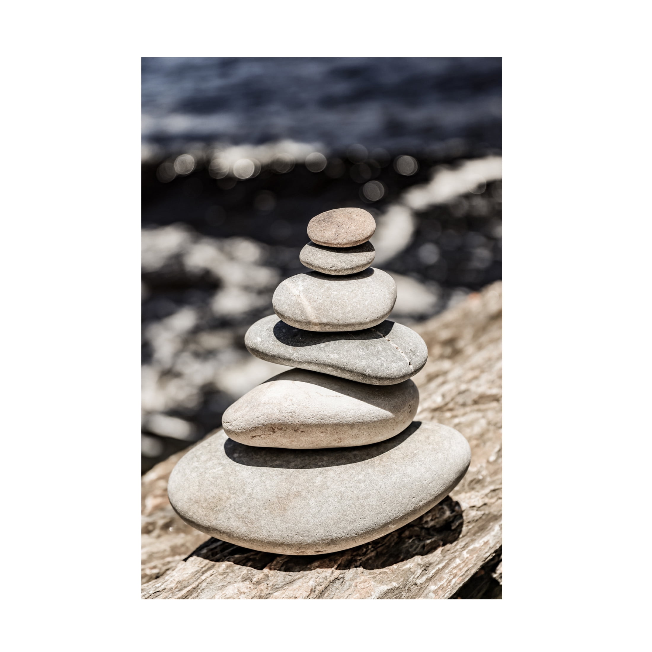 Trademark Fine Art Shot by Clint Balance Canvas Wall Art