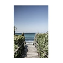Trademark Fine Art Shot by Clint Bay Walk Canvas Wall Art