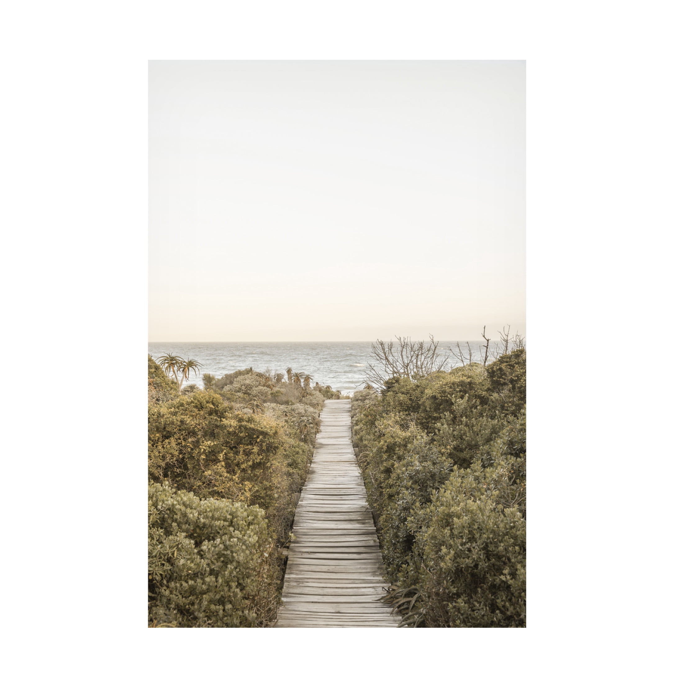 Trademark Fine Art Shot by Clint Boardwalk Canvas Wall Art