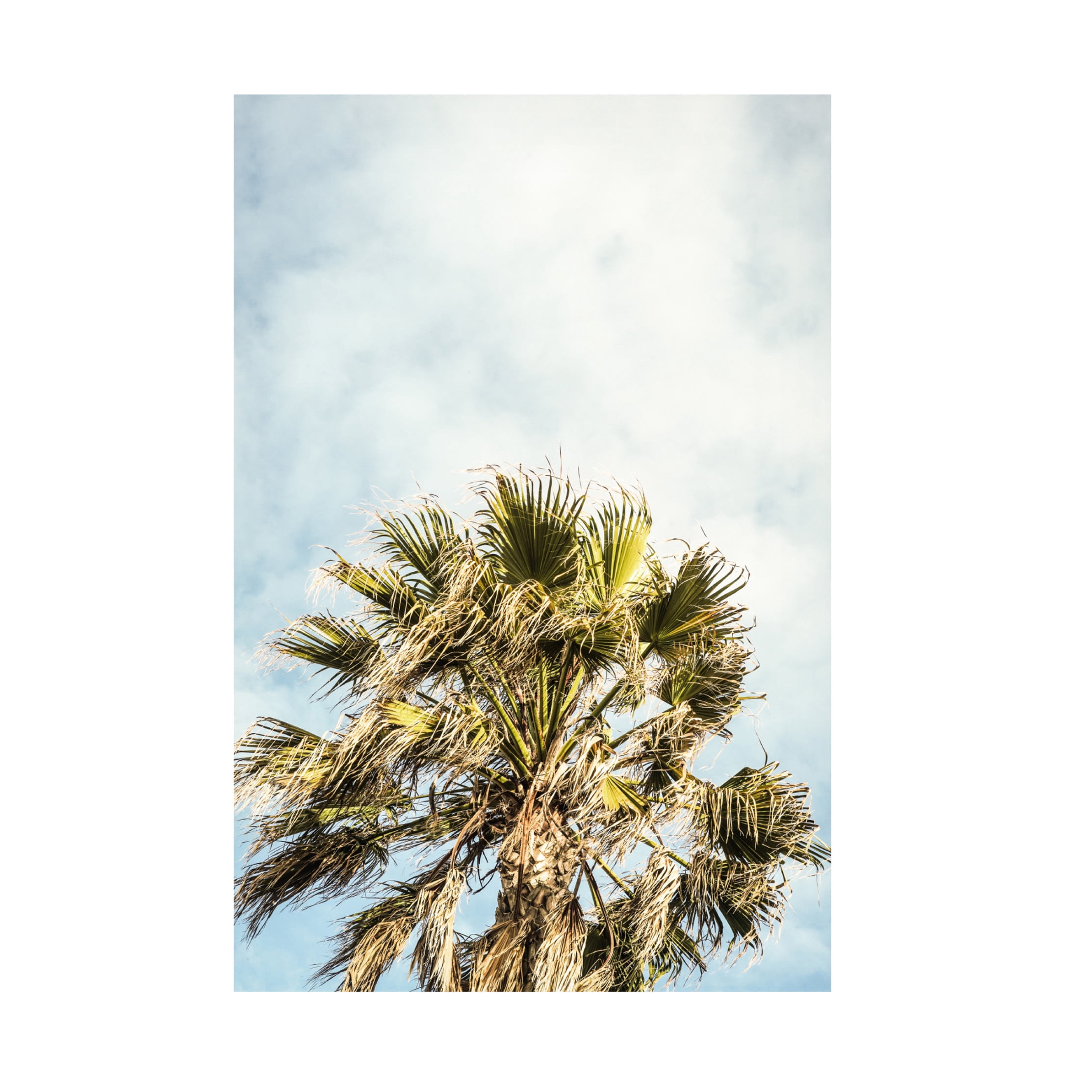 Trademark Fine Art Shot by Clint Breezy Canvas Wall Art
