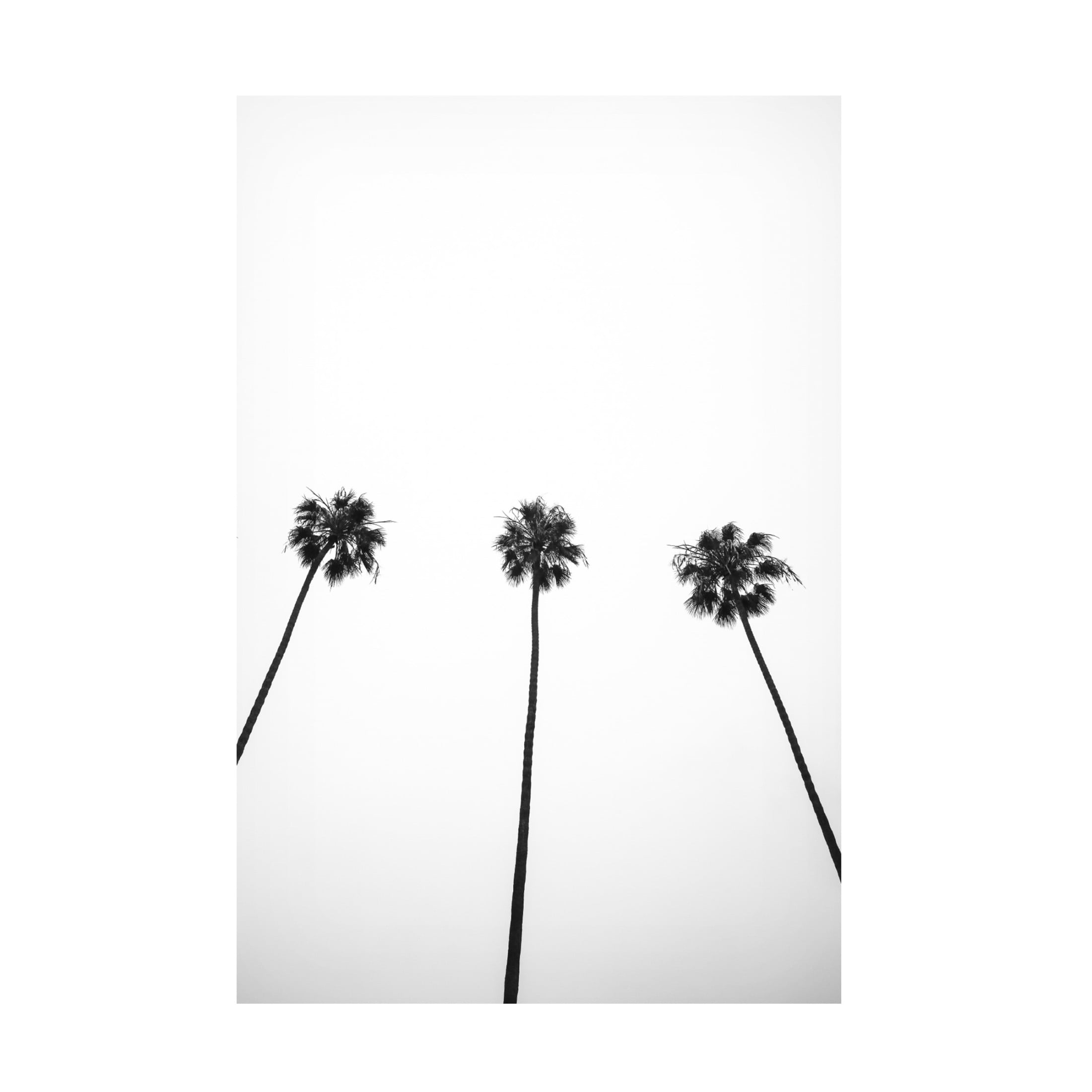 Trademark Fine Art Shot by Clint Cali Cathedrals 02 Canvas Wall Art