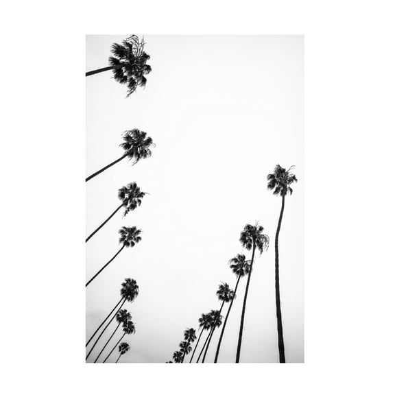 Trademark Fine Art Shot by Clint Cali Cathedrals 03 Canvas Wall Art