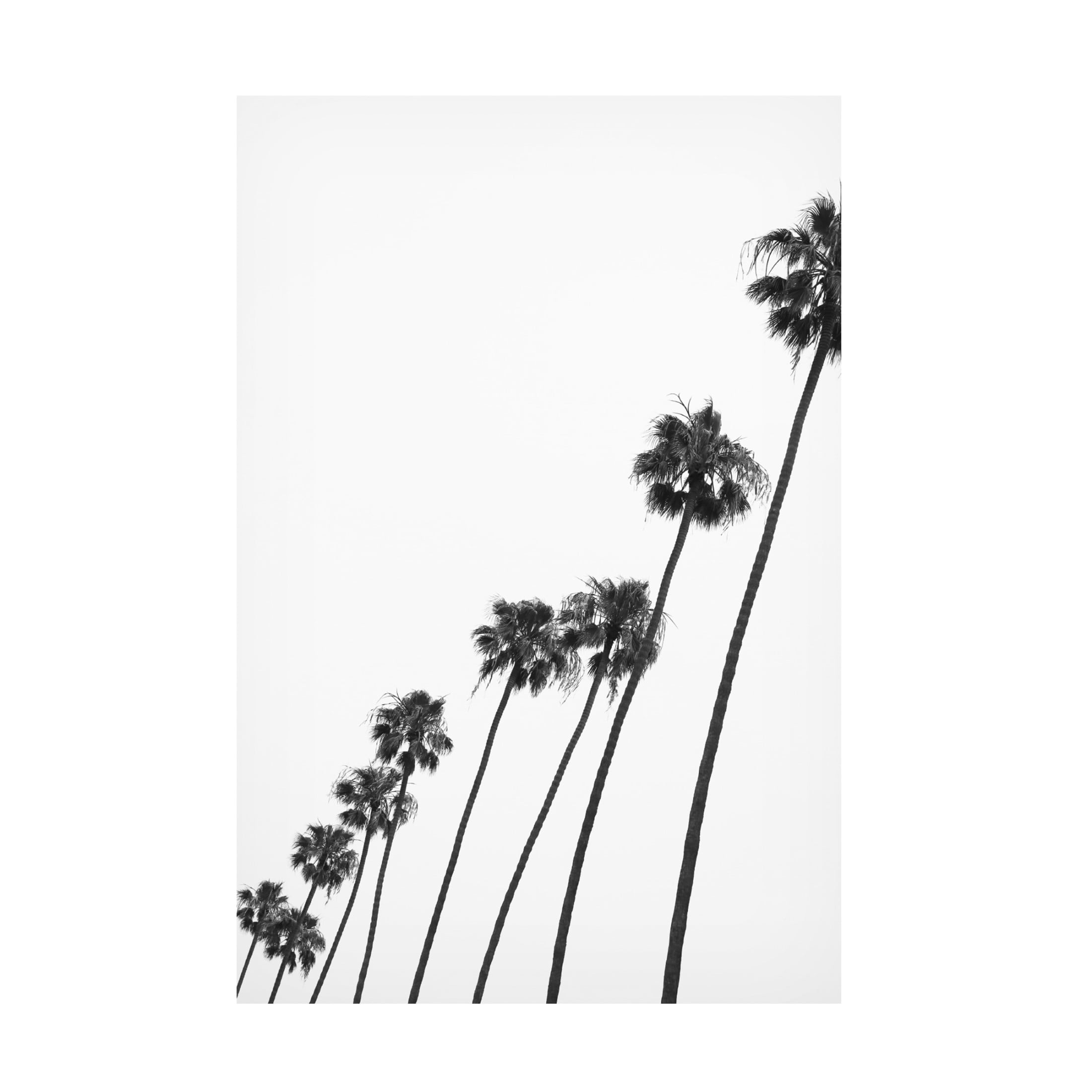 Trademark Fine Art Shot by Clint Cali Cathedrals 04 Canvas Wall Art